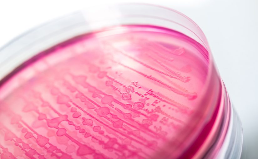 Extended Certificate for Assurance GDS for Cronobacter Tq II